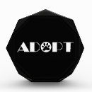 Search for dog awards Adoption