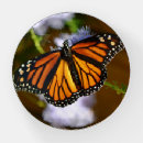 Search for butterfly paperweights Desk