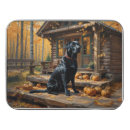 Search for labrador retriever puzzles Pets