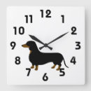 Search for dachshund clocks Animals