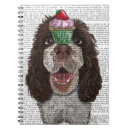 Search for springer spaniel Animals