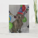 Search for weimaraner birthday cards Dog