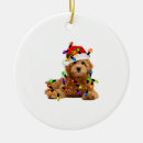 Search for goldendoodle ornaments Dog
