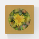 Search for floral paperweights Yellow