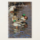 Search for mallard duck gifts Nature