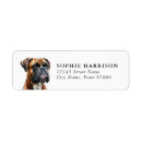 Search for boxer return address labels Dog