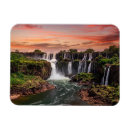Search for argentina magnets Rainforest