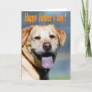 Search for labrador fathers day cards Yellow