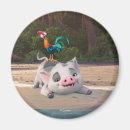 Search for rooster magnets Moana