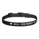 Search for pet collars Minimalist