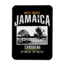 Search for jamaica magnets Summer