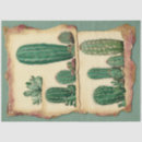 Search for cactus tissue paper Desert plant