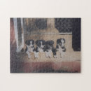 Search for border collie puzzles Puppy
