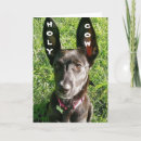 Search for retired veterinarian cards Co worker