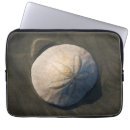 Search for legend of the sand dollar Ocean