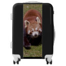 Search for panda luggage Bear