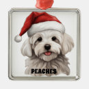 Search for maltese dog ornaments White