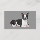 Search for boston terrier business cards bostons