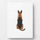 Search for german shepherd photo display Wolf