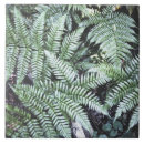 Search for fern tiles Leaves