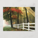 Search for wedding rsvp postcards Kindly reply