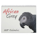 Search for parrot calendars 2026