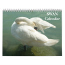Search for swans swan calendars 2026