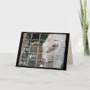 Search for cow get well cards Farm