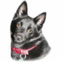 Search for dog photo statuettes Photograph
