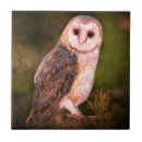 Search for owl tiles Green