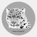 Search for snow leopard crafts party Illustration