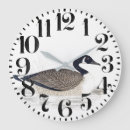 Search for wildlife clocks animals