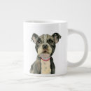 Search for american mugs cute dog