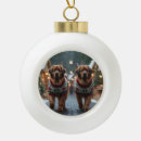 Search for newfoundland dog ornaments Animal