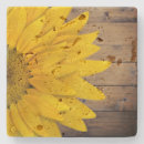 Search for flower coasters rustic