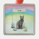 Search for gray cat ornaments Pet