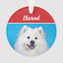 Search for american eskimo dog ornaments Eskies