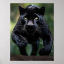 Search for black panther animal posters Leopard