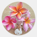 Search for hawaiian plumeria stickers Frangipani