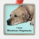 Search for rhodesian ridgeback ornaments Dog lover
