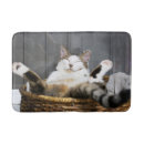Search for cat bath mats Kitten