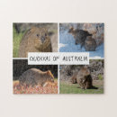 Search for quokka gifts Animal