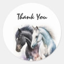 Search for black stallion stickers Equine