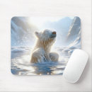 Search for polar bear gifts Arctic