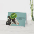 Search for funny cow birthday cards Cows