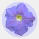 Search for violet flower stickers Blue
