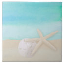Search for sand dollar tiles Ocean