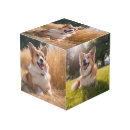 Search for pet photo cubes Keepsake