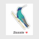 Search for hummingbird stickers Cute
