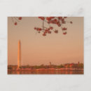 Search for washington monument postcards Horizontal